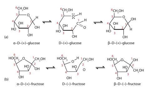 25.5: Cyclic Structures of Monosaccharides .